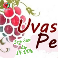 seg-sex-14-00h-uvas_e_personalidades