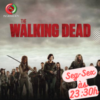 seg-sex-23-30h-the_walking_dead